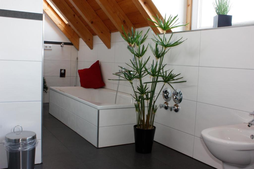 Wonnentaeler Apartments Kenzingen Room photo